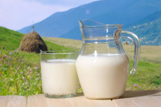 牛奶到底是预防结石的，还是诱发结石的？